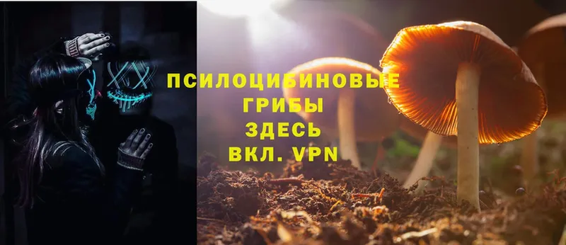 Псилоцибиновые грибы Magic Shrooms  продажа наркотиков  Городовиковск 